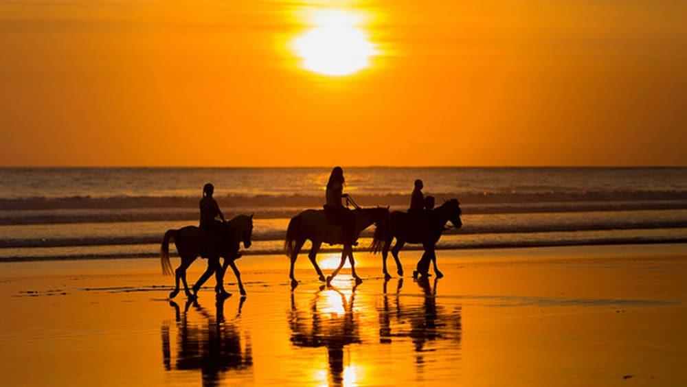 Oualie Beach Resort Nevis Ngoại thất bức ảnh